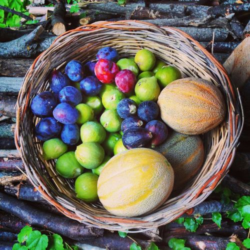 Cesto di frutta: susine, fichi, meloni