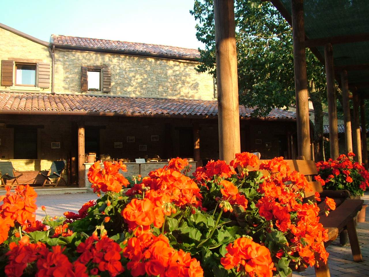 Borgo Basino appartamenti, struttura esterna Casale in pietra soleggiato con geranei rosso carminio